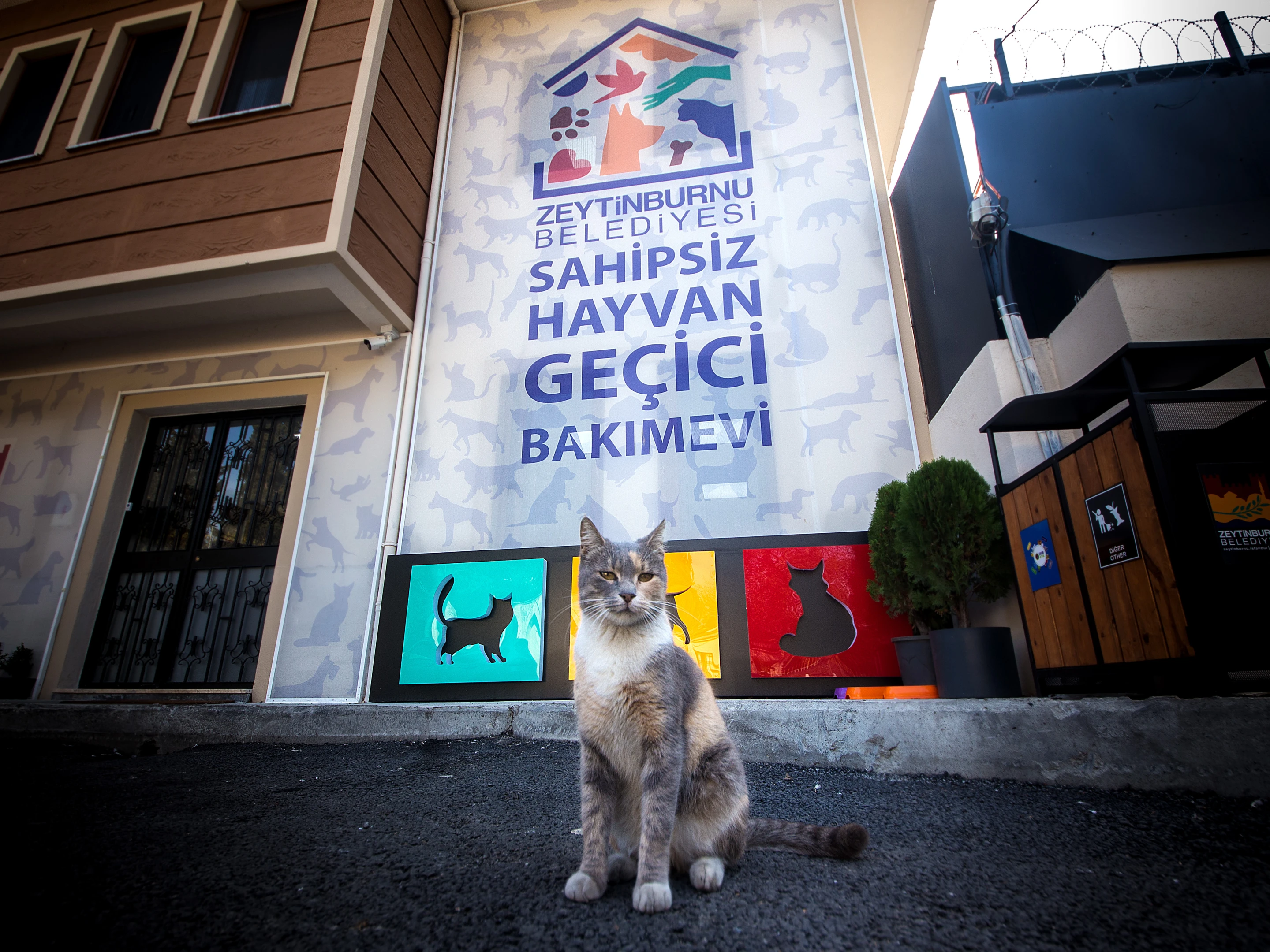 Sahipsiz Hayvan Geçici Bakımevi