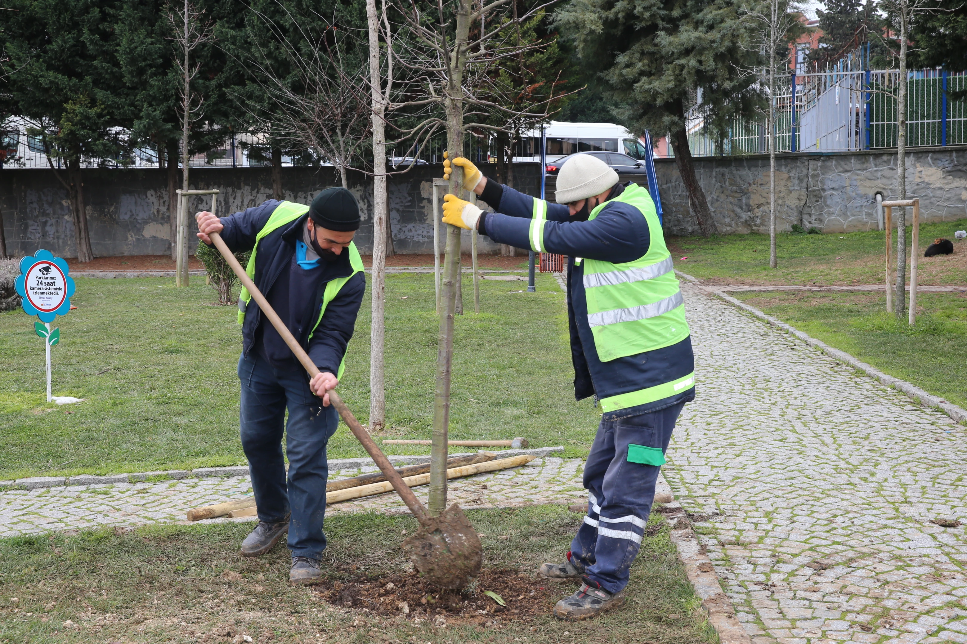 Ağaçlandırma ve Çevre Bakımı