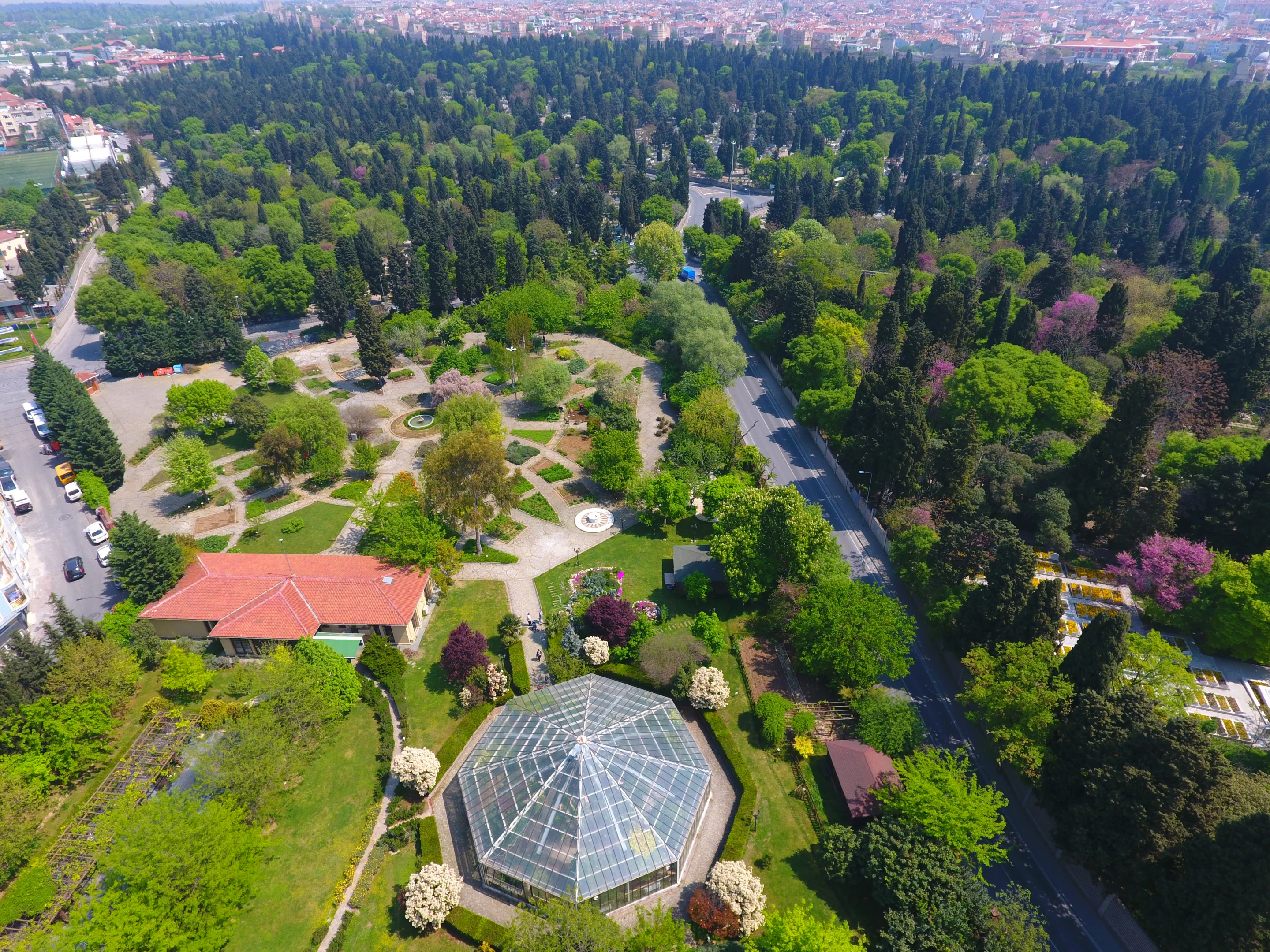 Zeytinburnu Tıbbi Bitkiler Bahçesi