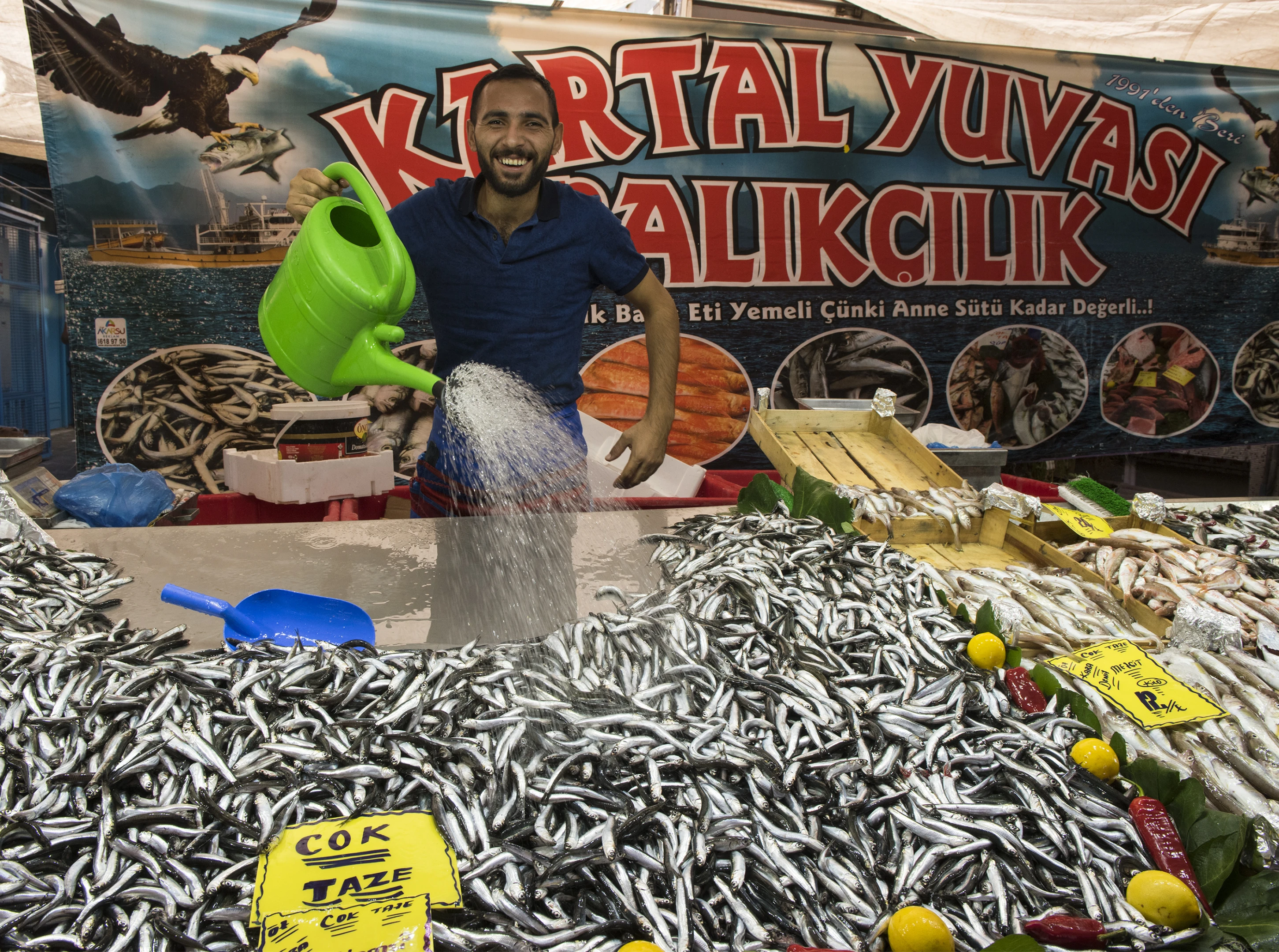 Pazar Yerleri