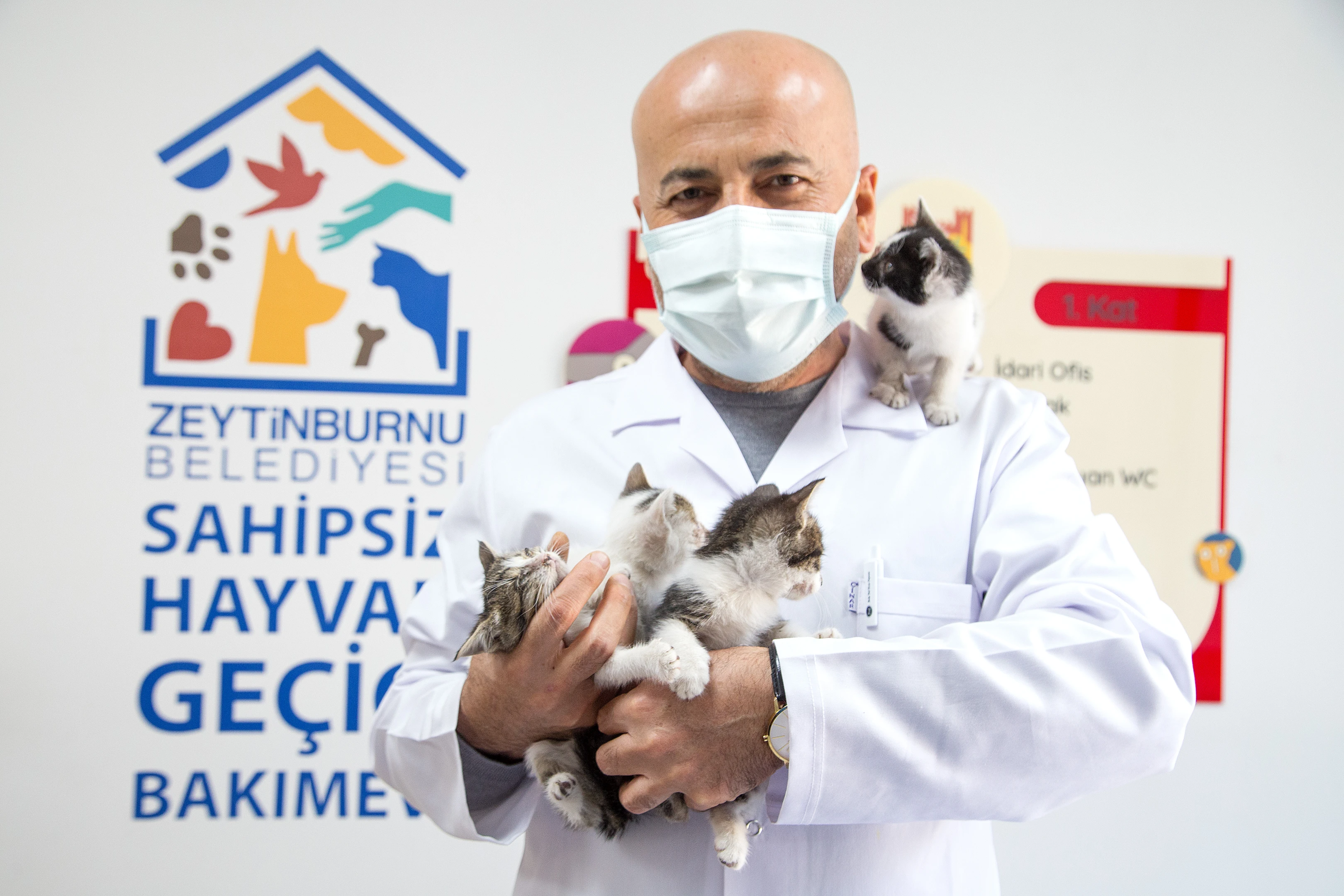 Sahipsiz Hayvan Geçici Bakımevi